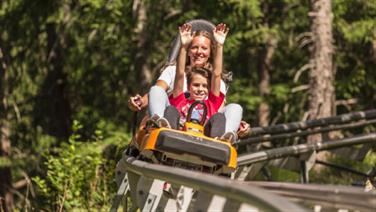 Image for: ALPINE COASTER LUGE 